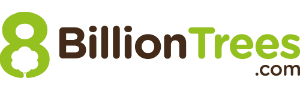 8 Billion Trees