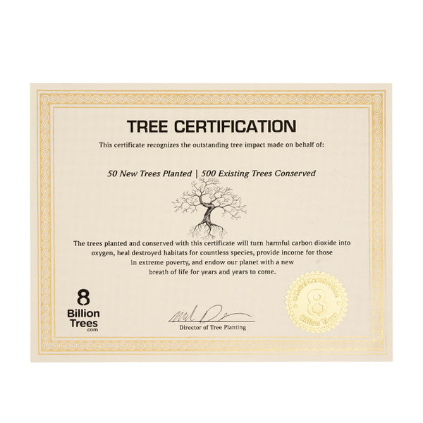 Personalized 8 Billion Trees Certificate - Plant Trees
