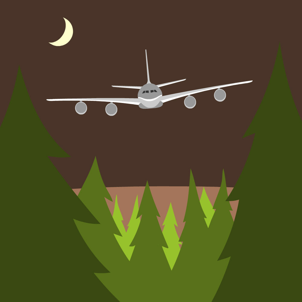 Flying International: Carbon Offset