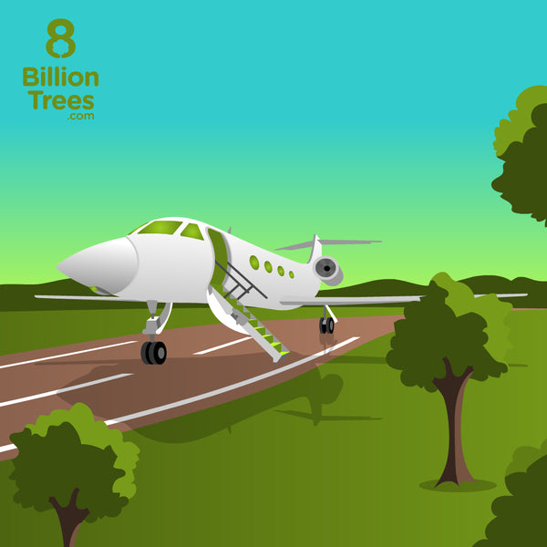 Private Jet: Carbon Offsets