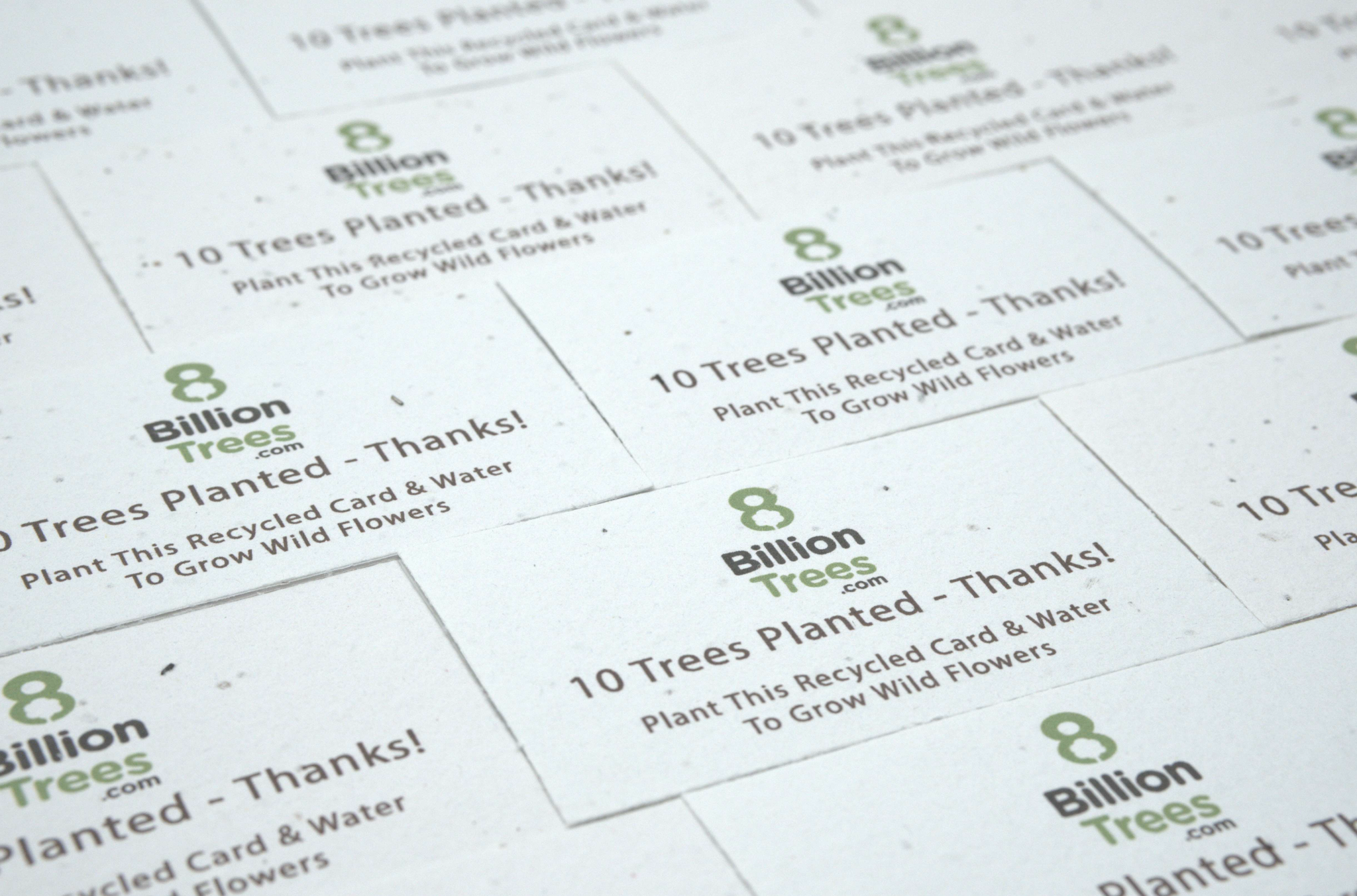 Plantable Tree Card Set